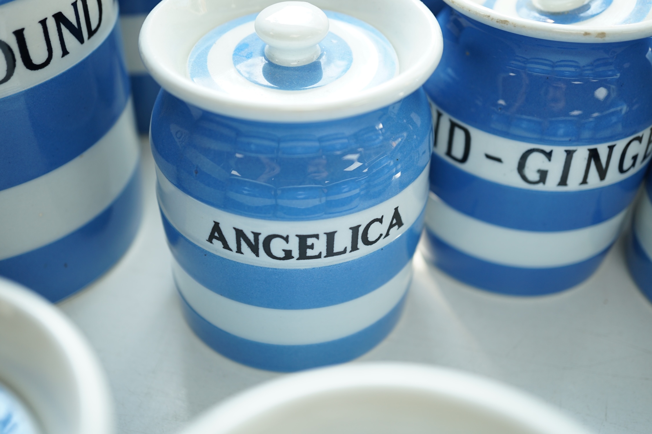 T.G.Green Cornish Kitchenware, eleven 9cm lidded storage jars to include Borax, Cayenne, Angelica, Turmeric, Ground-Ginger and Bay Leaves, Black Shield marks. Condition - poor, fair and good